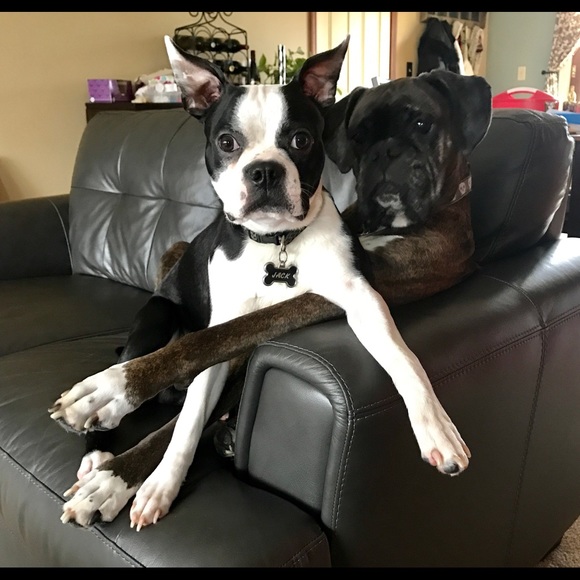 Meet your Posher, Tricia - Picture 3 of 3